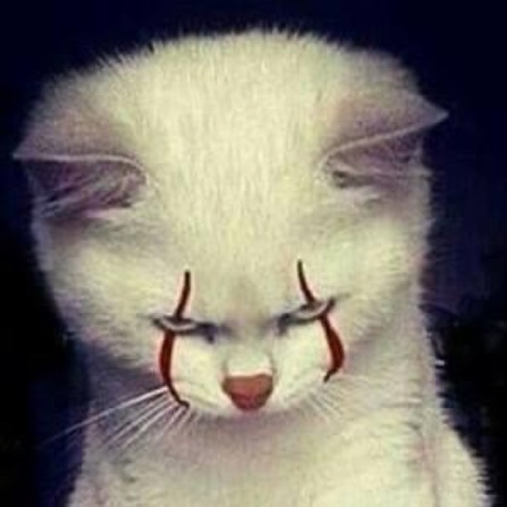 Meet your Posher, Magnolia